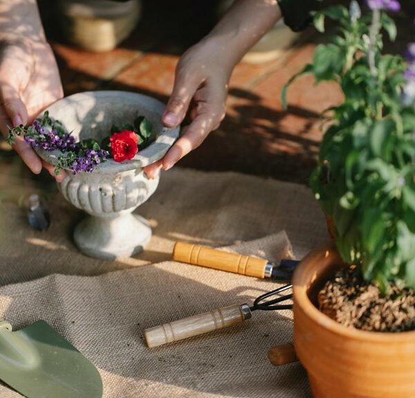 grow with digital tools